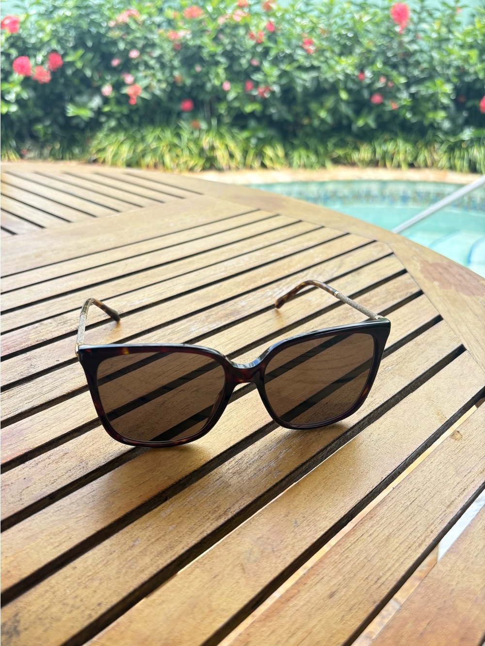 Jimmy Choo Classic Tortoiseshell square Women's Sunglasses Brown Lenses